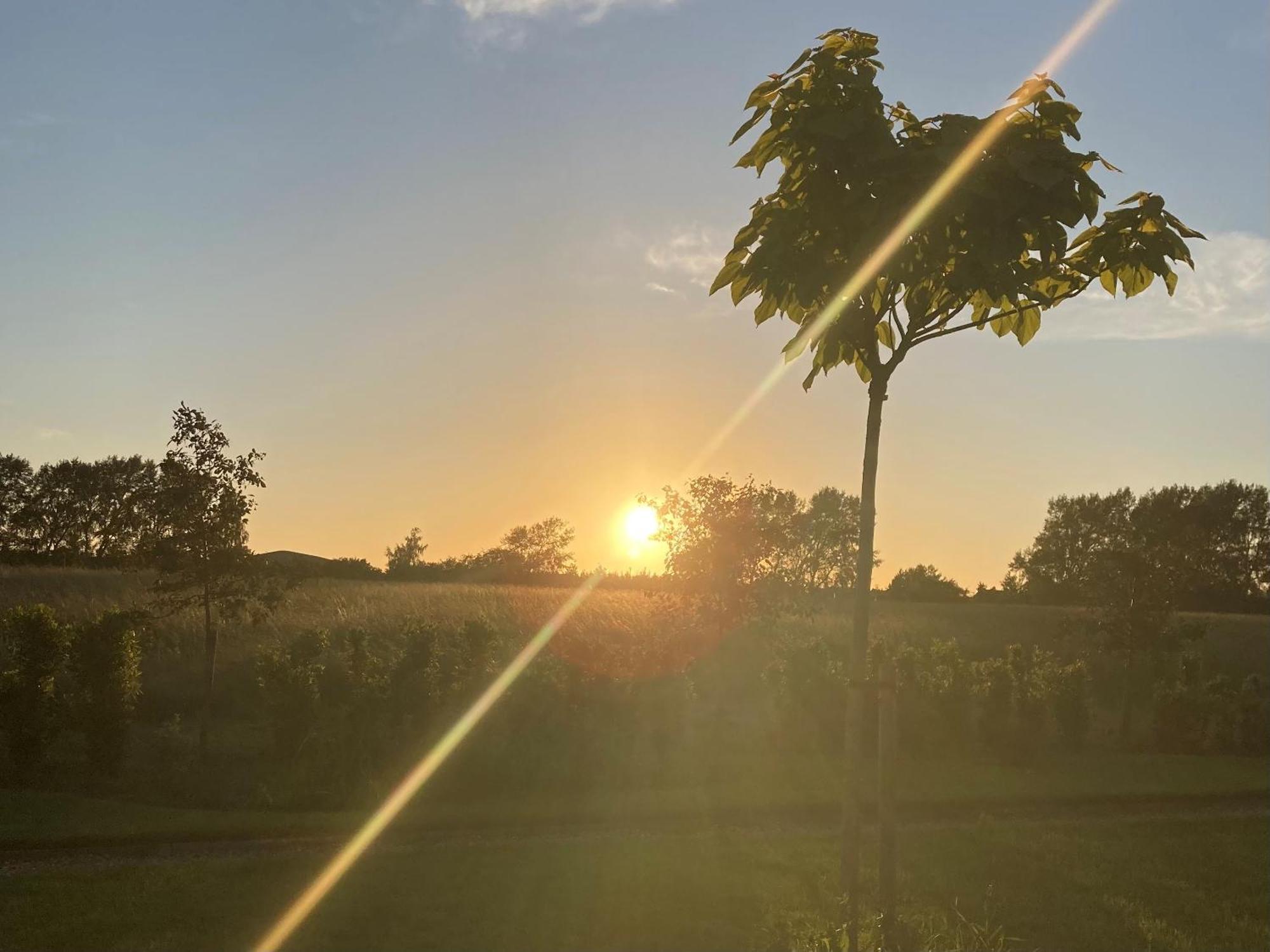 فيلا The Yard @ Pringle Farm Great Stukeley الغرفة الصورة